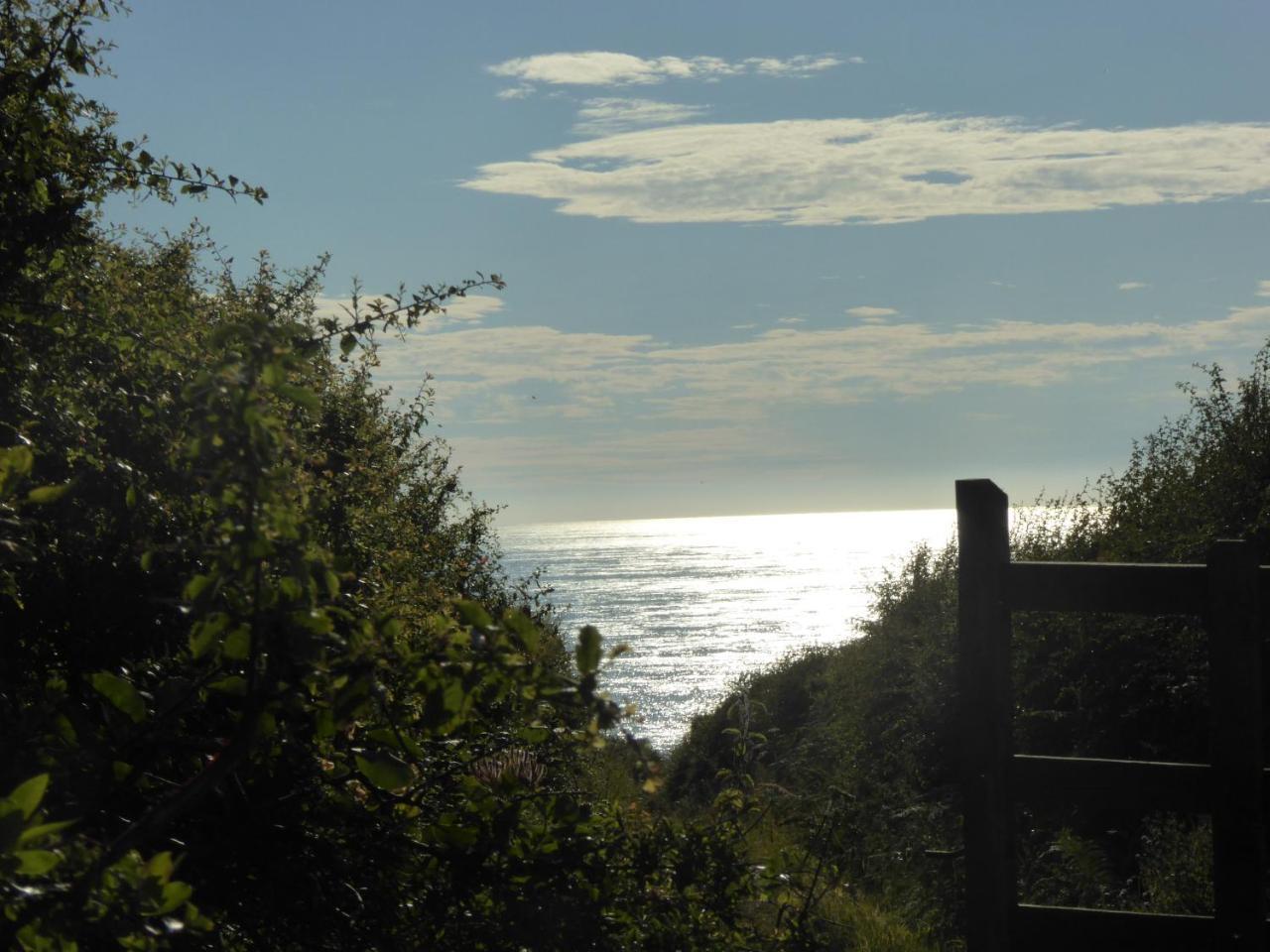 Crackington Haven Lower Tresmorn Farmhouse المظهر الخارجي الصورة