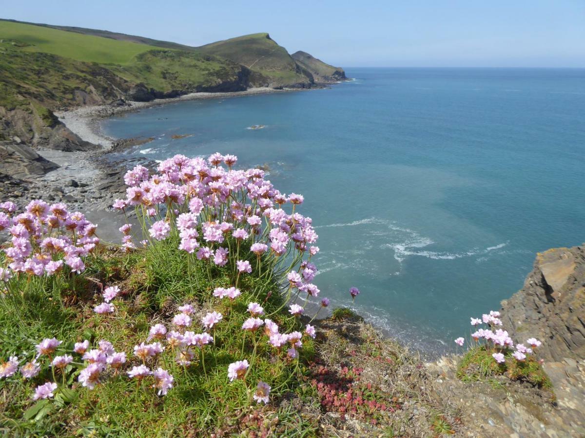 Crackington Haven Lower Tresmorn Farmhouse المظهر الخارجي الصورة